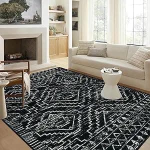 Wonnitar Moroccan 6x9 Area Rugs