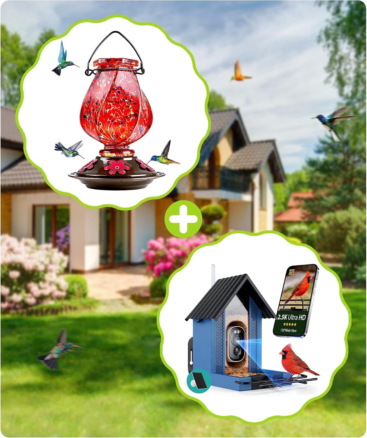 BOLITE Hummingbird Feeder Red & Bird Feeder with Camera Blue