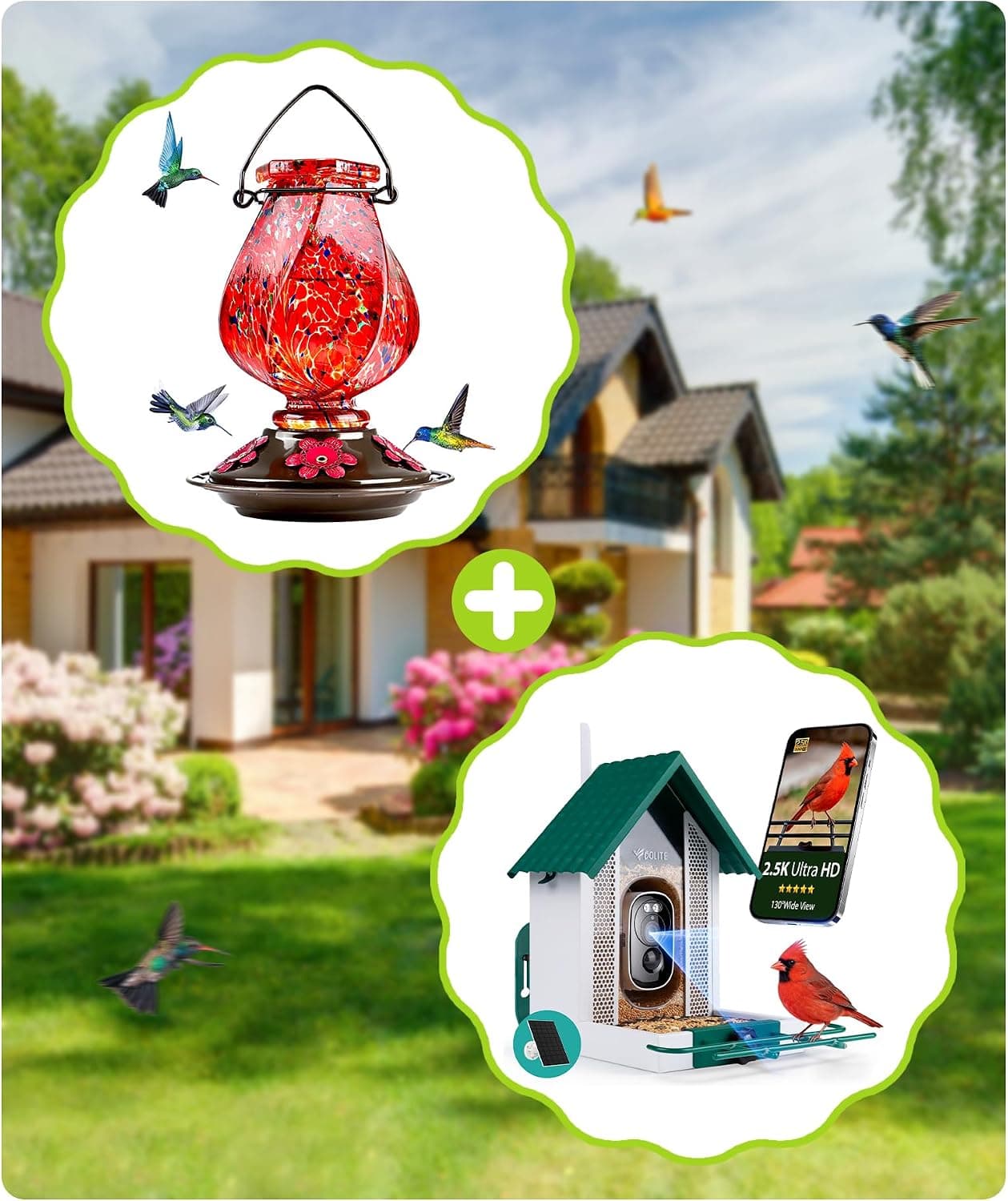 BOLITE Hummingbird Feeder Red & Bird Feeder with Camera Green