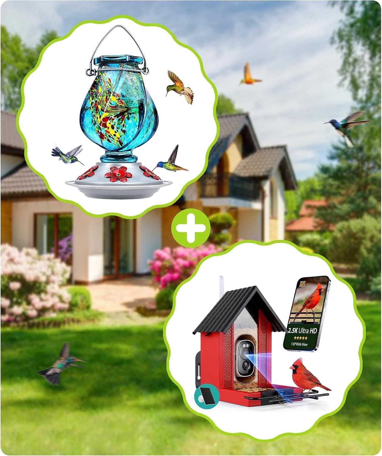 BOLITE Hummingbird Feeder Blue & Bird Feeder with Camera Red