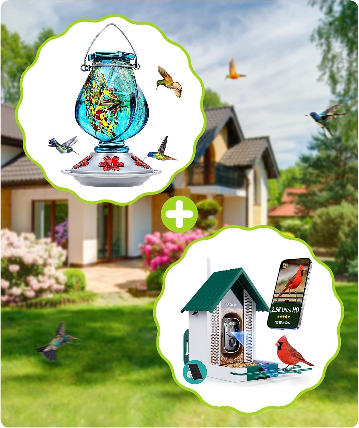 BOLITE Hummingbird Feeder Blue & Bird Feeder with Camera Green